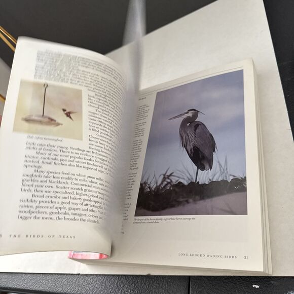 The Birds of Texas By John L Tveten - Picture 5 of 6